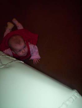 2004_2_0132