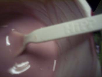 2004_3_0050