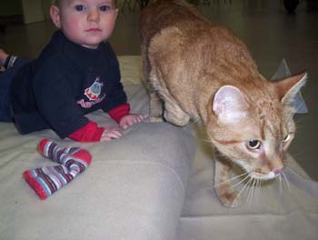 2004_3_0055