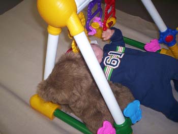 2004_3_0131