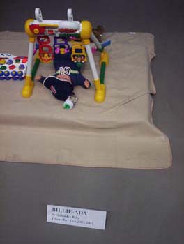 2004_3_0155