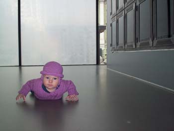 2004_3_0161